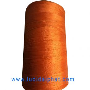 Chỉ trục màu cam